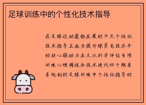 足球训练中的个性化技术指导