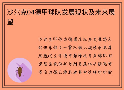 沙尔克04德甲球队发展现状及未来展望